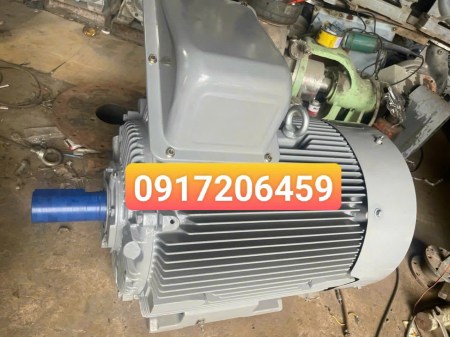 dong-co-dien-160kw1