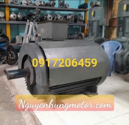 dong-co-dien-250kw-960rpm