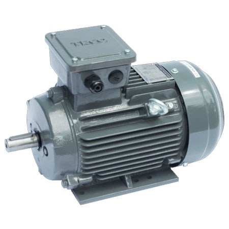 dong-co-dien-motor-teco-aesv1s-175-teco175-6