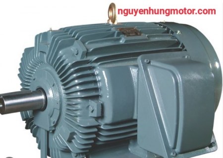 motor_cot_duong_teco