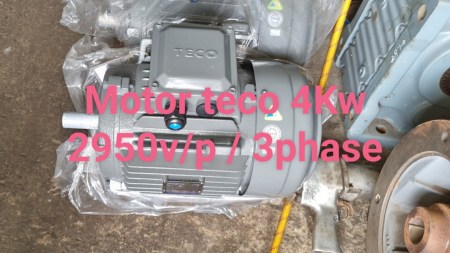 motor_teco_4kw